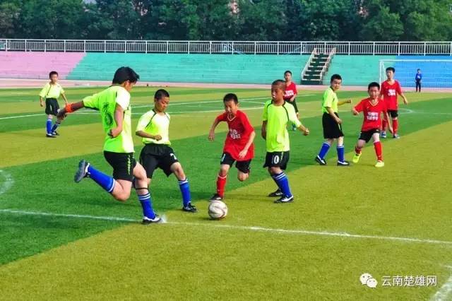 {YY GAME}(足球俱乐部实施方案)